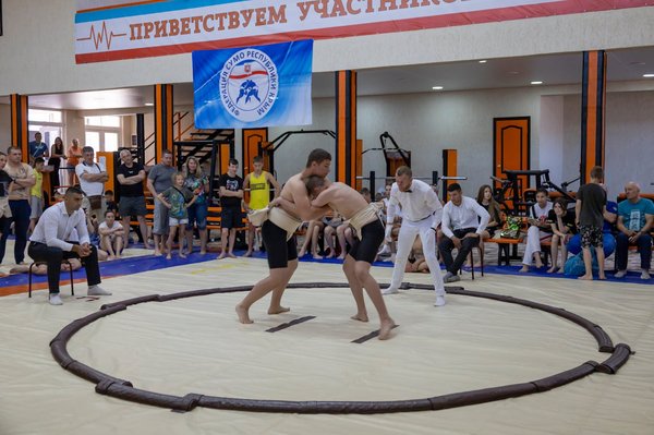 How can UK sumo wrestlers use biomechanical analysis to improve their pushing techniques?