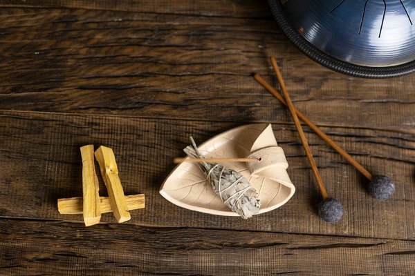 How can UK sports teams use biofeedback training to improve focus and performance?